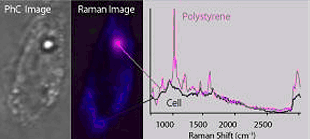面掃描共聚焦拉曼系統