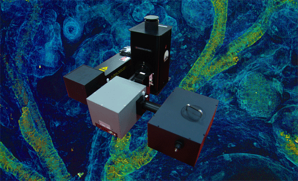PLEMapping激發光譜成像