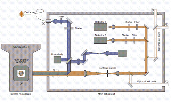 TCSPC時間相關單光子計數