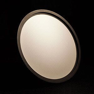 RPC PHOTONICSW(xu)ԪɢƬ΢͸RУuλ